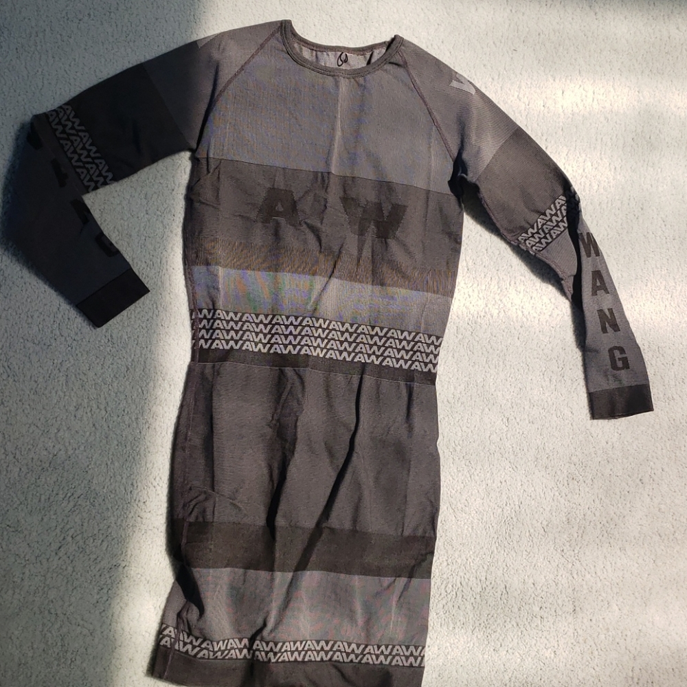 Alexander wang H&M dress
